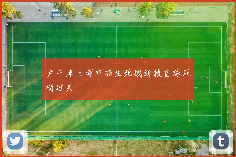 卢卡库上海申花生死战新援首球压哨过关