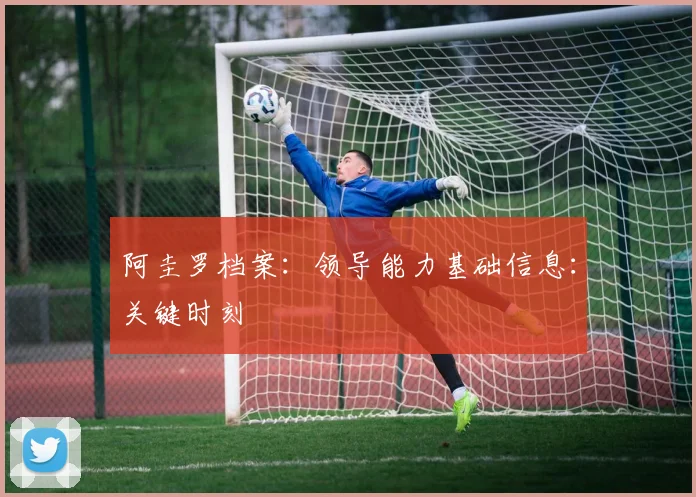 阿圭罗档案：领导能力基础信息：关键时刻